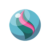 이상해꽃나이트